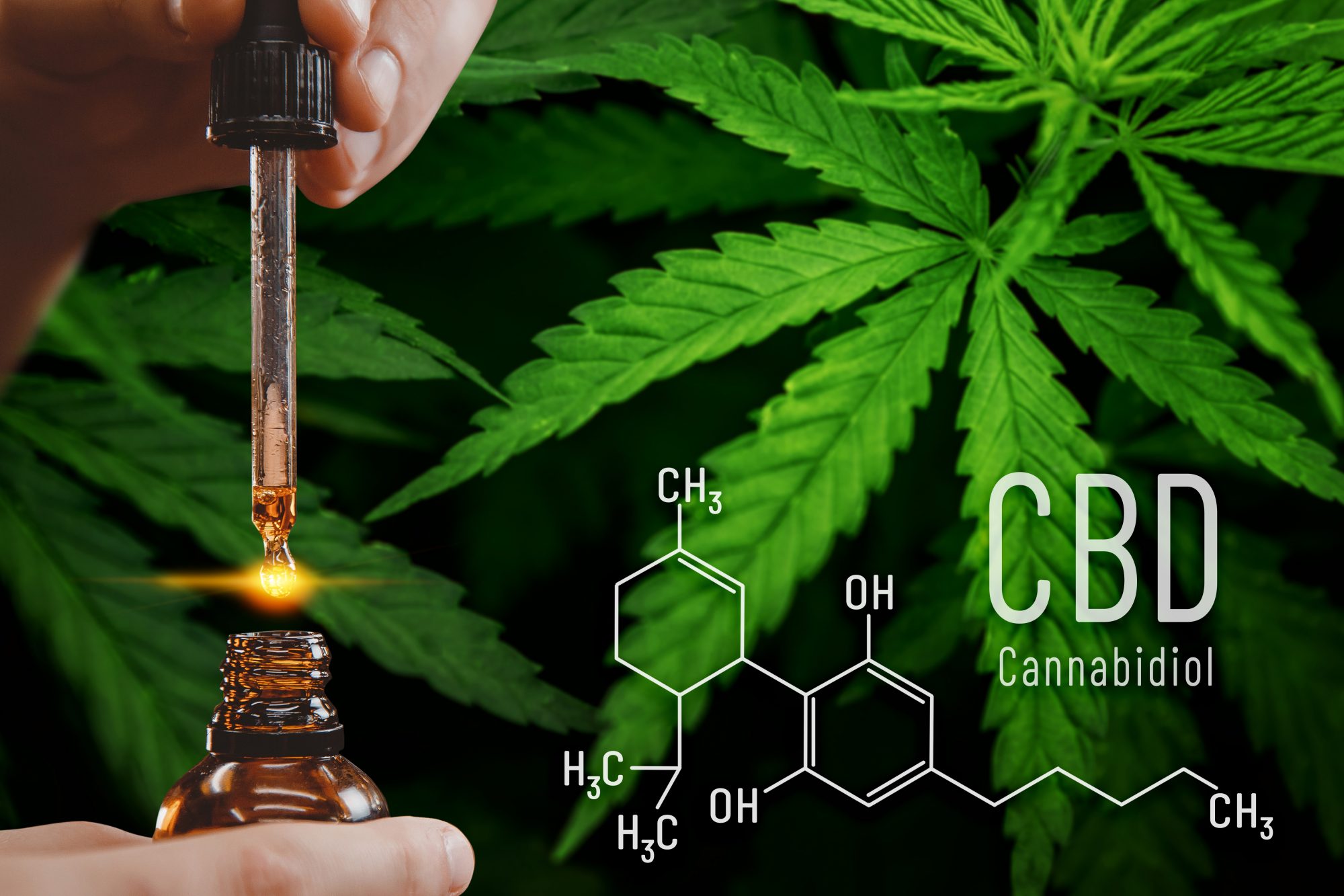 Effective CBD Oil Formulations Promote Relief For Stiff Joints And Tender Muscles